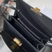 Celine Teen Triomphe Bag shiny calfskin Black/brown #B69112
