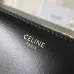 Celine Teen Triomphe Bag shiny calfskin Black/brown #B69112