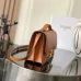 Celine Teen Triomphe Bag shiny calfskin Black/brown #B69112