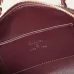 Chanel 5346 Small Vanity Bag Crocodile Embossed Calfskin Gold Chain 19cm #B67265
