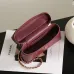 Chanel 5346 Small Vanity Bag Crocodile Embossed Calfskin Gold Chain 19cm #B67265