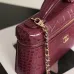 Chanel 5346 Small Vanity Bag Crocodile Embossed Calfskin Gold Chain 19cm #B67265