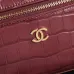 Chanel 5346 Small Vanity Bag Crocodile Embossed Calfskin Gold Chain 19cm #B67265