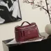 Chanel 5346 Small Vanity Bag Crocodile Embossed Calfskin Gold Chain 19cm #B67265