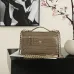Chanel 5347 Medium Vanity Bag Crocodile Embossed Calfskin Gold Chain 23cm #B67264