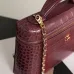 Chanel 5347 Medium Vanity Bag Crocodile Embossed Calfskin Gold Chain 23cm #B67264