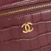 Chanel 5347 Medium Vanity Bag Crocodile Embossed Calfskin Gold Chain 23cm #B67264