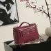 Chanel 5347 Medium Vanity Bag Crocodile Embossed Calfskin Gold Chain 23cm #B67264