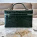 Chanel Croc Embossed Top Handle Bag For Women AP5528 25cm×15cm×5cm #B69303