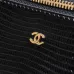 Chanel LP Box Bag Lizard Embossed Calfskin Gold Zipper Handbag AP5285, 17-19.5-5 cm #B67262