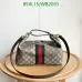 Gucci Handbags Model 857799 #A67206