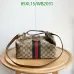 Gucci Handbags Model 857799 #A67206