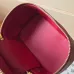 Louis Vuitton Epi Leather Vanity Case Collection - Luxury Cosmetic Bags with Gold-Tone Zippers in Multiple Elegant Colors M25857 #A58353