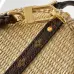 Louis Vuitton M3A265 Express Mini Handbag Monogram Trim Shoulder Crossbody Bag #B67278