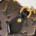 Louis Vuitton Shoulder Bags Speedy Bandouliere 20 M26314 #A58355