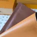 Louis Vuitton Monogram Passport Cover M14733 14x2.5cm #A63881