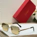 Cartier AAA+ Sunglasses #B67245