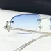 Cartier AAA+ Sunglasses #B67249