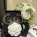 Chanel Earrings #A65496