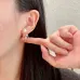 D-ior Earrings #A52943