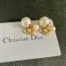 D-ior Earrings #A52943