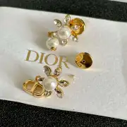 D-ior Earrings #A52945