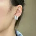 HERMES Earrings #A65539