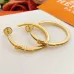 Hermes earrings Jewelry #A65291