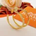 Hermes earrings Jewelry #A65291
