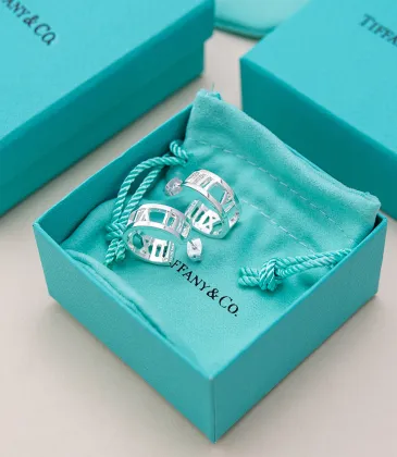 Tiffany Designer Style earrings and original box #A65183 Tiffany Designer Style earrings and original box #A65183