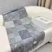 LOEWE Cashmere Scarf #B67832