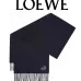 LOEWE Wool and cashmere Scarf #B67834