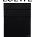 LOEWE cashmere Scarf #B67835