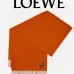 LOEWE cashmere Scarf #B67835