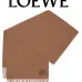 LOEWE cashmere Scarf #B67835