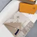 Louis Vuitton Scarf #B68739