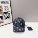 Louis Vuitton AAA+ hats &amp; caps #B67745