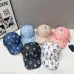 Louis Vuitton AAA+ hats &amp; caps #B67745