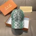 Louis Vuitton AAA+ hats &amp; caps #A62813