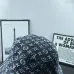 Louis Vuitton AAA+ hats &amp; caps #A64705