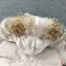Canada Goose Down Jackets #B68778