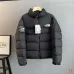 The North Face 1992 Retro Stand Collar Puffer Down Jacket Unisex #B68797