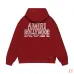 AMIRI Grid Text Print Hoodie, Multi-color Options #B68872