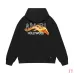 Amiri Galloping Horse Graphic Pullover Hoodie Multi-color Options #B68888
