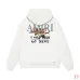Amiri Sparrow Bird Graphic Pullover Hoodie Multi-color Options #B68886