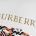 Burberry Hoodies for Men #B68916