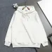 Dior Classic CD Logo Embroidered 420g Heavyweight Hoodie, White Brown Grey Pink Black #B68833