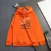 Loewe Classic Anagram Logo Embroidered Hoodie, Orange Sage Cream Black #B68829