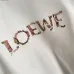 Loewe Hoodies #A55235