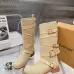 Louis Vuitton Shoes for Women's Louis Vuitton boots #B68666